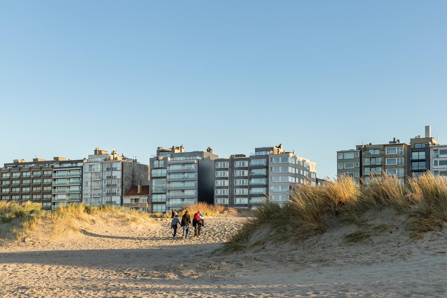 Bostoen Oostduinkerke Viola omgeving Duinen Strand