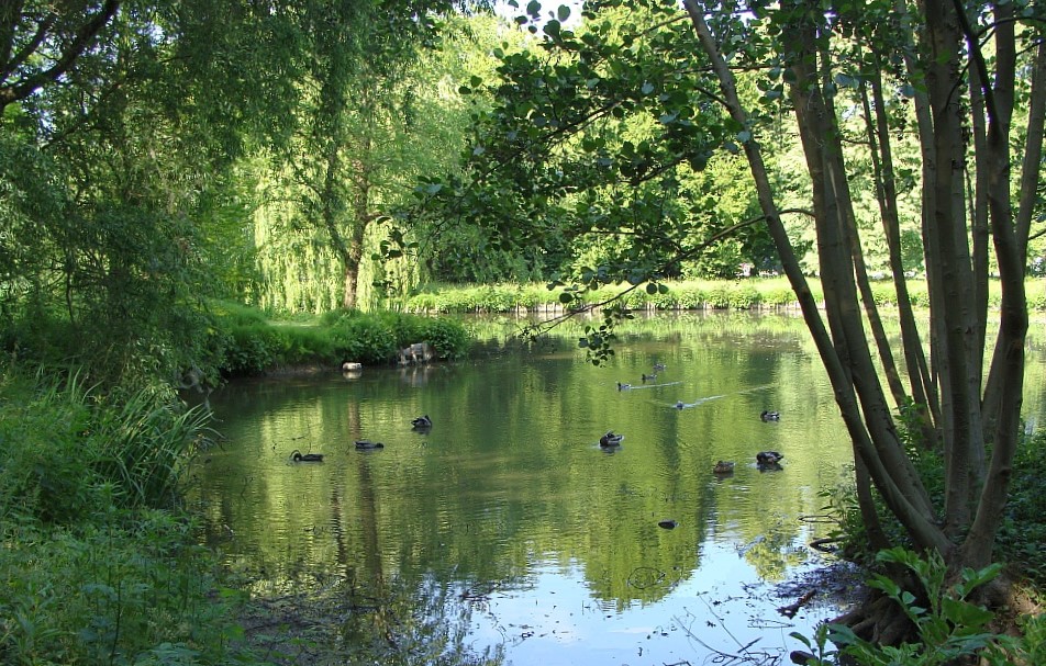 Bostoen Nieuwerkerken 't MaalHof omgeving Stadspark Aalst